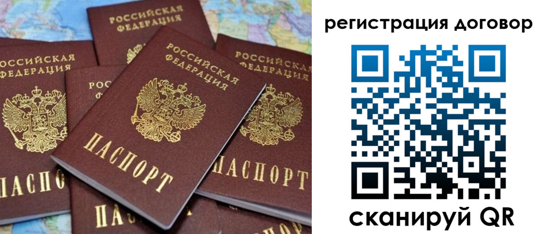 прописка гарантия в Ногинске